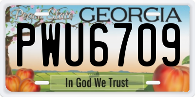 GA license plate PWU6709