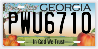 GA license plate PWU6710