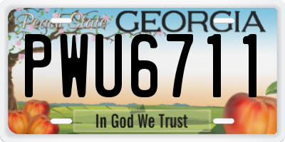 GA license plate PWU6711