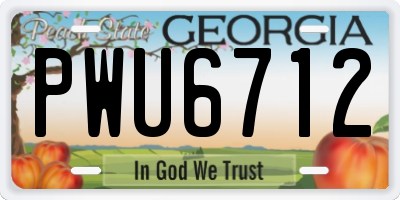 GA license plate PWU6712