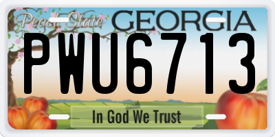 GA license plate PWU6713
