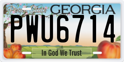 GA license plate PWU6714