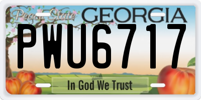 GA license plate PWU6717