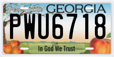 GA license plate PWU6718