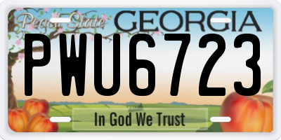GA license plate PWU6723