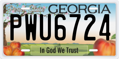 GA license plate PWU6724