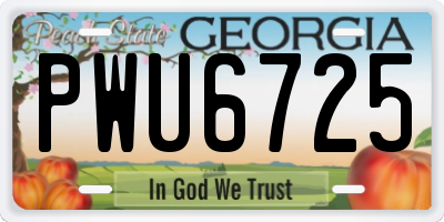 GA license plate PWU6725