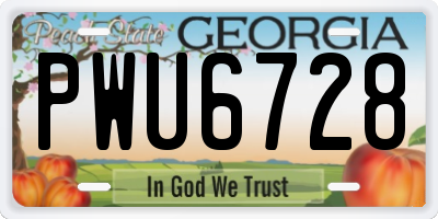 GA license plate PWU6728