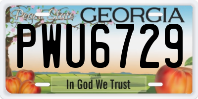 GA license plate PWU6729
