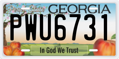 GA license plate PWU6731