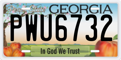 GA license plate PWU6732