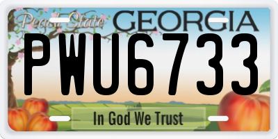GA license plate PWU6733