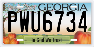 GA license plate PWU6734