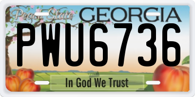 GA license plate PWU6736