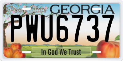 GA license plate PWU6737