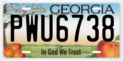 GA license plate PWU6738