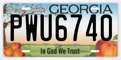 GA license plate PWU6740