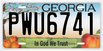 GA license plate PWU6741