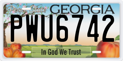 GA license plate PWU6742