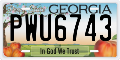 GA license plate PWU6743