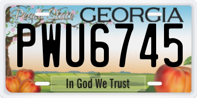 GA license plate PWU6745