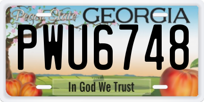 GA license plate PWU6748