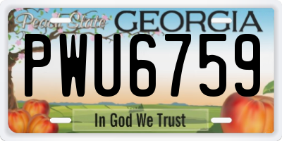 GA license plate PWU6759