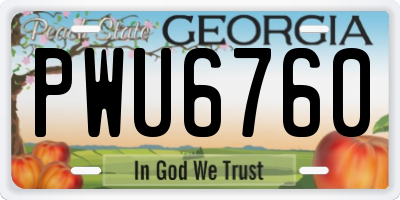 GA license plate PWU6760