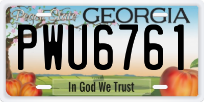 GA license plate PWU6761