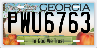 GA license plate PWU6763