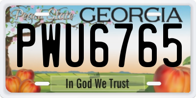 GA license plate PWU6765