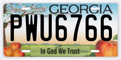GA license plate PWU6766