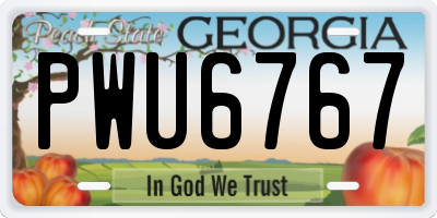 GA license plate PWU6767