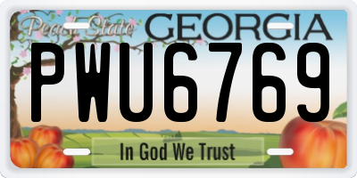 GA license plate PWU6769
