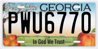 GA license plate PWU6770