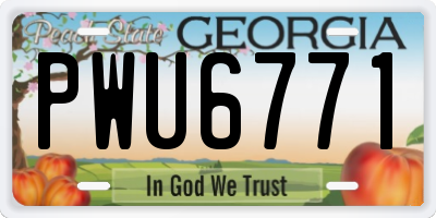 GA license plate PWU6771