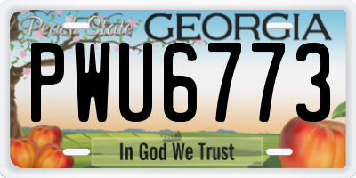 GA license plate PWU6773