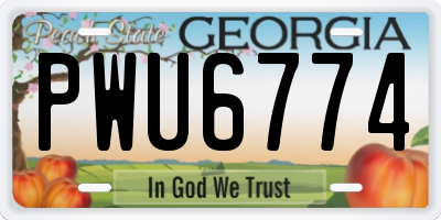 GA license plate PWU6774