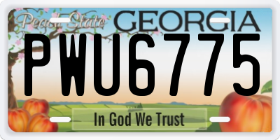 GA license plate PWU6775