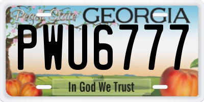 GA license plate PWU6777