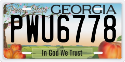 GA license plate PWU6778