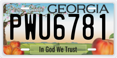 GA license plate PWU6781