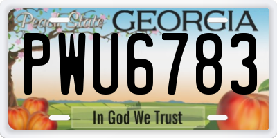 GA license plate PWU6783