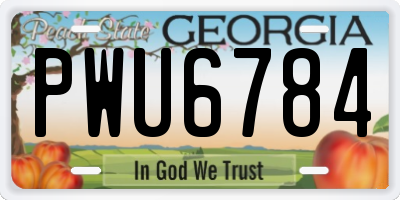 GA license plate PWU6784