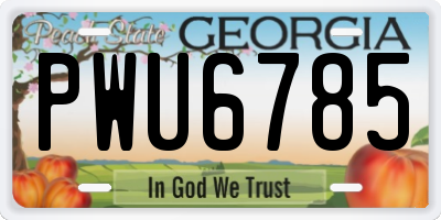 GA license plate PWU6785