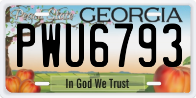 GA license plate PWU6793