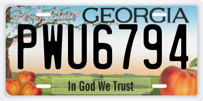 GA license plate PWU6794