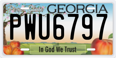 GA license plate PWU6797