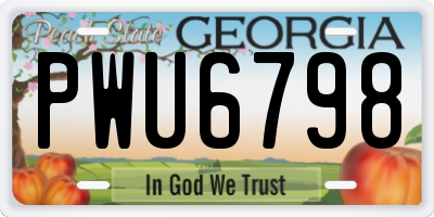 GA license plate PWU6798