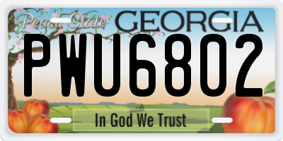GA license plate PWU6802